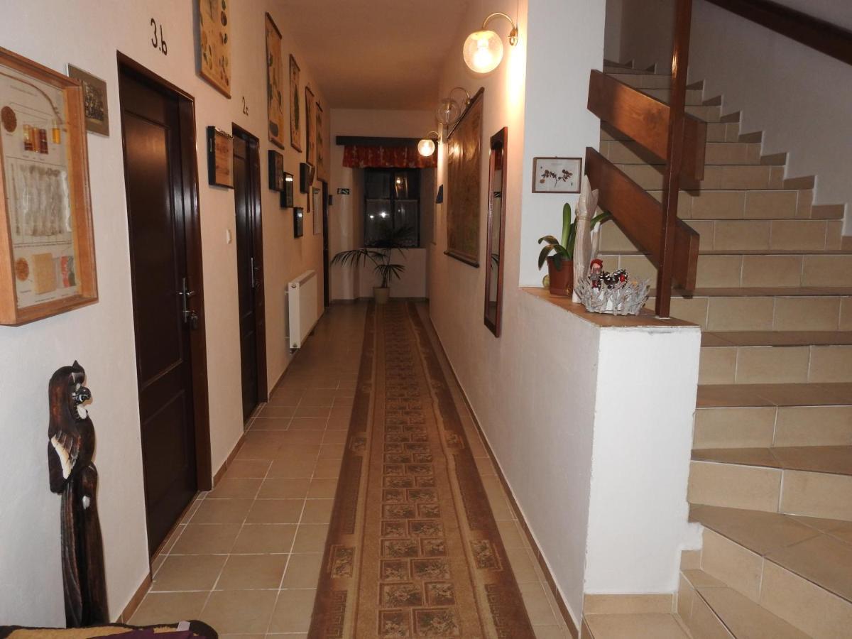 Hotel Stará škola na Šumavě Hořice na Šumavě Exterior foto